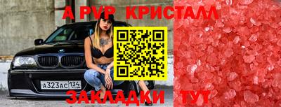 дживик Гусев