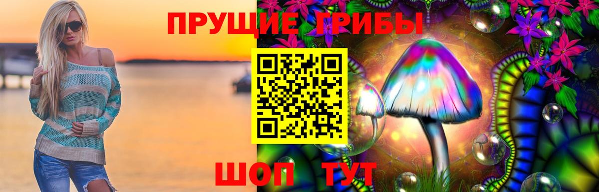 Муром  Псилоцибиновые грибы мухоморы  купить   Вход с VPN 